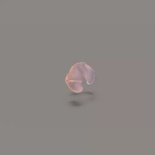 bouchon d'oreille sur mesure étanche gauche pour le bain vu de l'intérieur