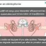 la-communication-e2e-de-Siemens-épaule-le-systeme-naturel-d-écoute-en-stéréo